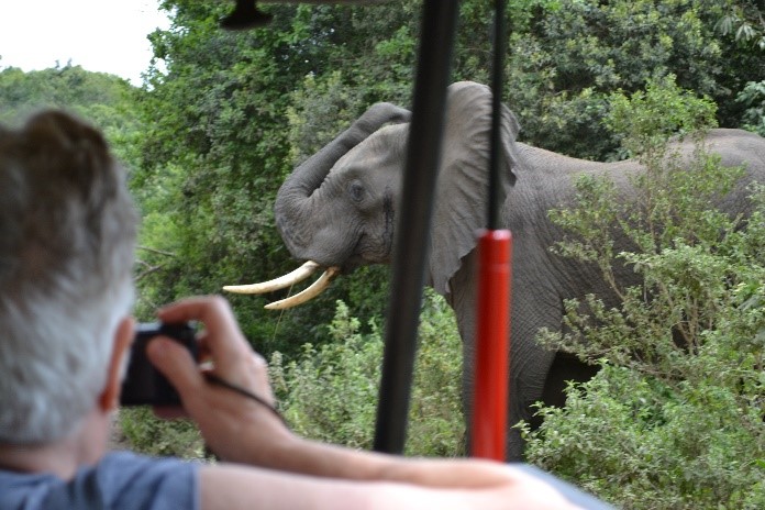 Elephant upset jeep in way arusha national park tanzania