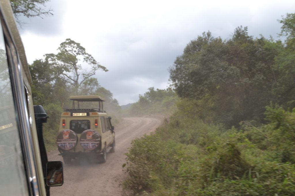 jeeps on safari tanzania